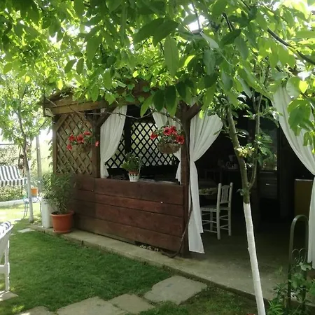 Accommodatie bij particulieren Casuta Cu Zorele